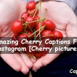 Cherry Captions For Instagram