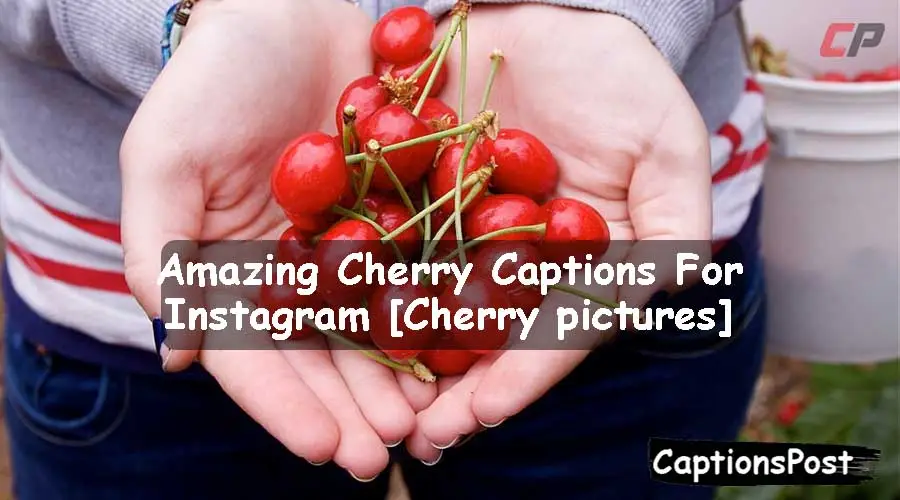 Cherry Captions For Instagram