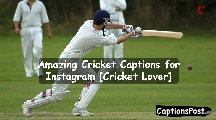 Cricket Captions for Instagram