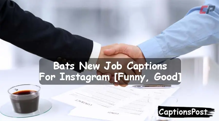 New Job Captions For Instagram