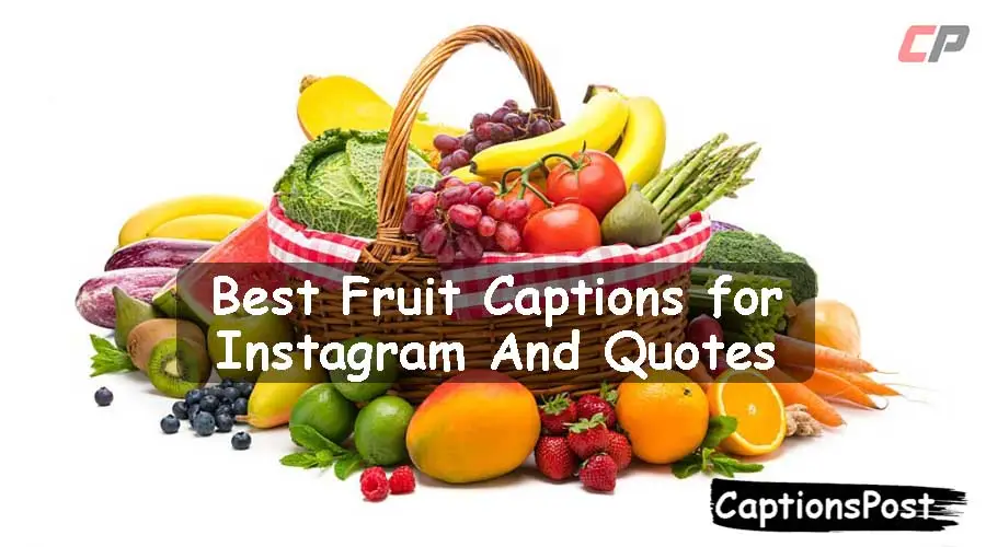 Fruit Captions for Instagram
