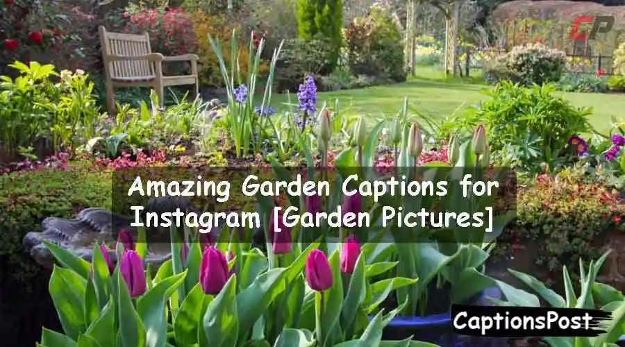 Garden Captions for Instagram
