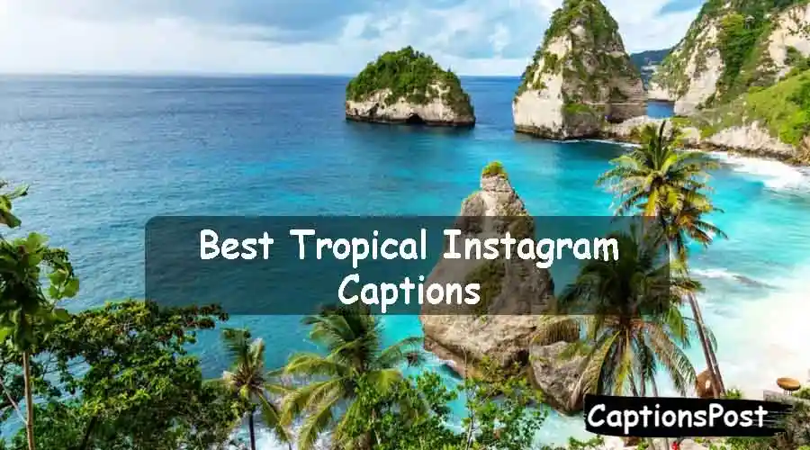 Tropical Instagram Captions