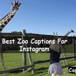 Best Zoo Captions For Instagram