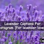 Lavender Captions For Instagram