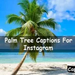 Palm Tree Captions