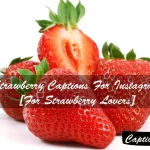 Strawberry Captions For Instagram
