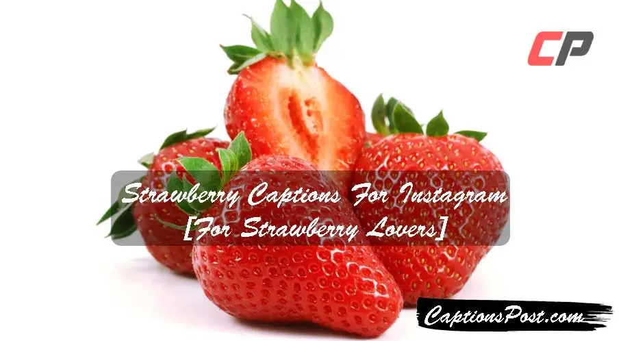 Strawberry Captions For Instagram