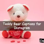 Teddy Bear Captions for Instagram