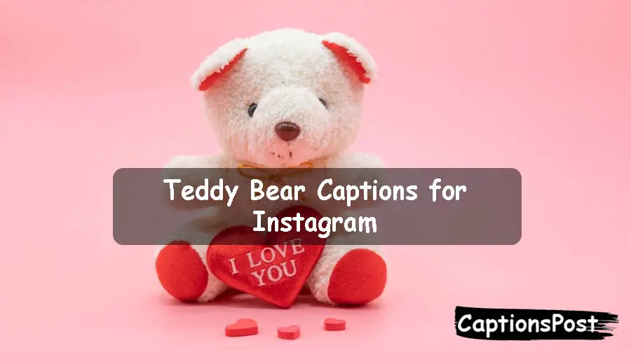 Teddy Bear Captions for Instagram