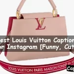Louis Vuitton Captions For Instagram