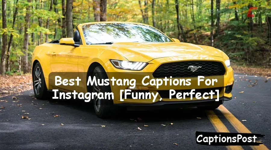 Mustang Captions For Instagram