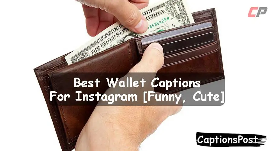 Wallet Captions For Instagram