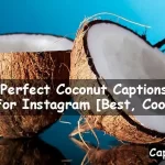 Coconut Captions For Instagram