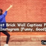 Brick Wall Captions For Instagram