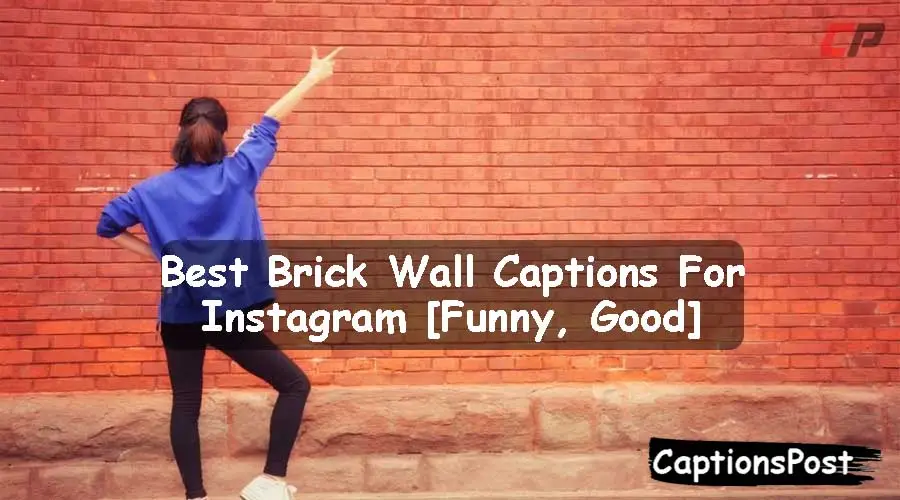 100+ Best Brick Wall Captions For Instagram [Funny, Good]