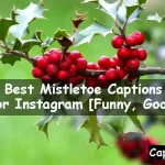 Mistletoe Captions For Instagram