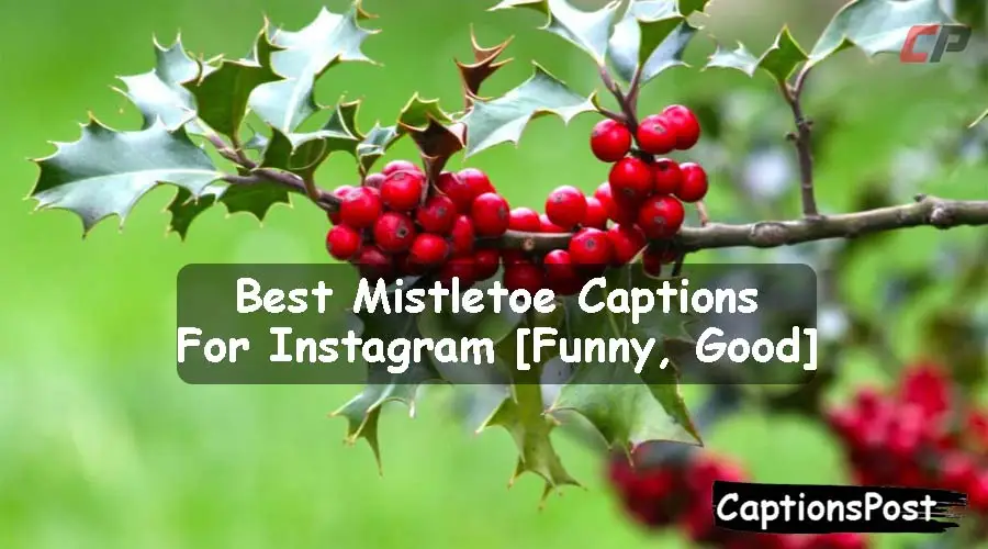 Mistletoe Captions For Instagram