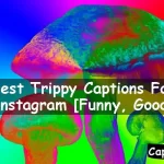 Trippy Captions For Instagram