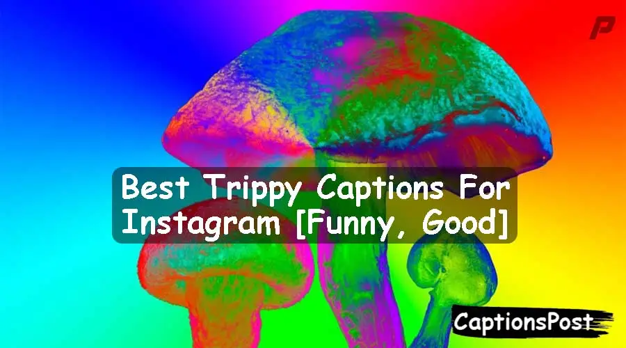 Trippy Captions For Instagram