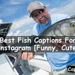 Fish Captions For Instagram