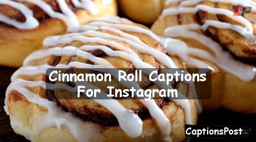 Cinnamon Roll Captions