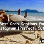 Crab Captions for Instagram