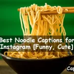 Noodle Captions for Instagram