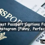 Passport Captions For Instagram