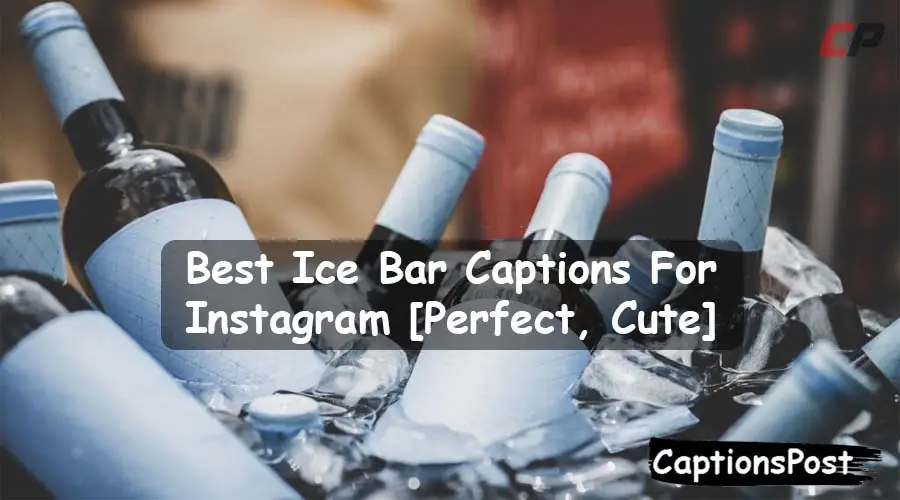 Ice Bar Captions For Instagram
