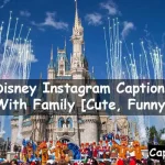 Disney Instagram Captions With Family