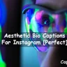Aesthetic Bio Captions For Instagram