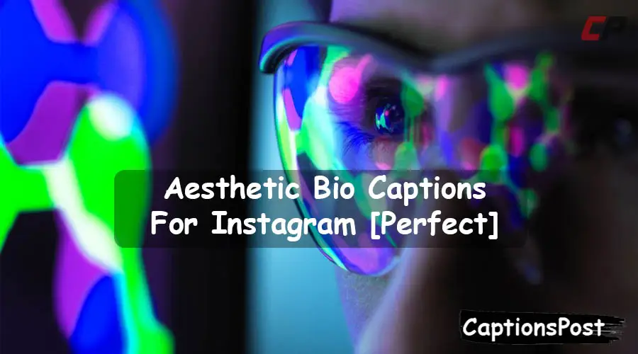 Aesthetic Bio Captions For Instagram