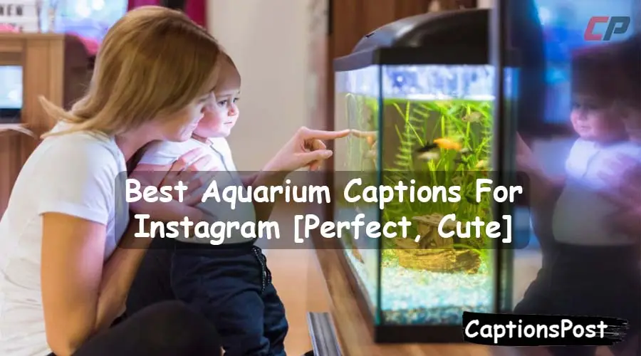 Aquarium Captions For Instagram