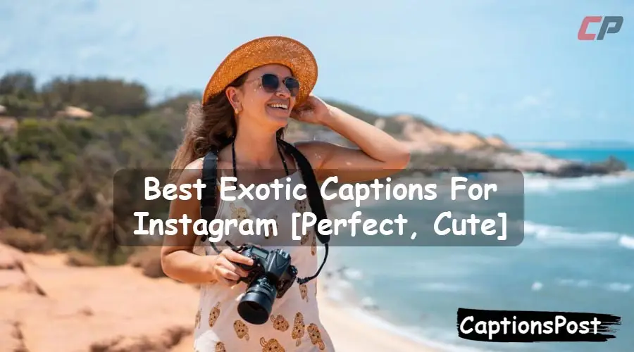 Exotic Captions For Instagram