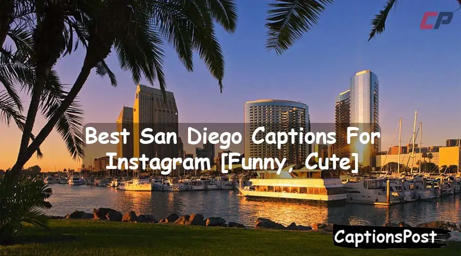 San Diego Captions For Instagram