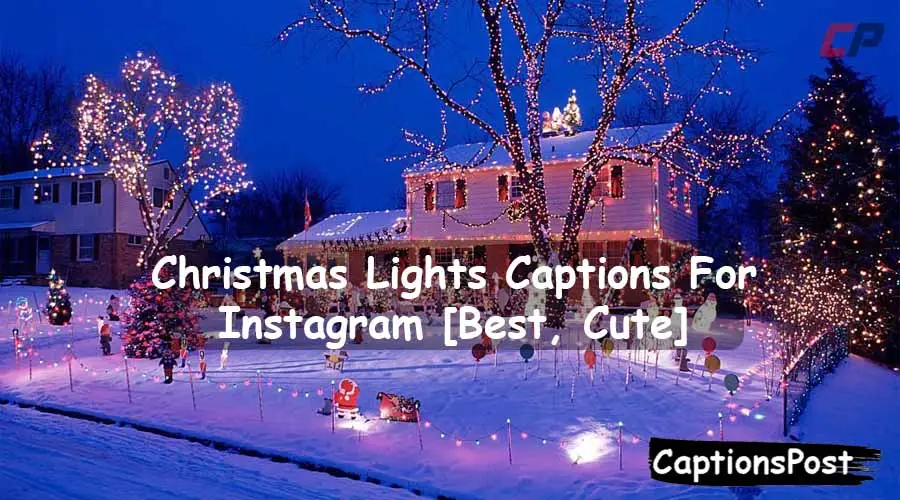 Christmas Lights Captions For Instagram