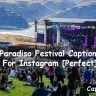 Paradiso Festival Captions For Instagram