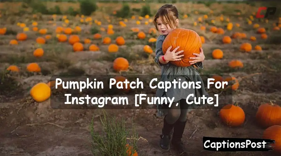 Pumpkin Patch Captions