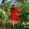 Botanical Garden Captions for Instagram