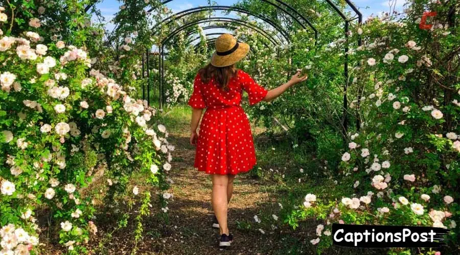 Botanical Garden Captions for Instagram