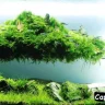 Aquascaping Captions for Instagram