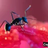 Ant-keeping Captions for Instagram