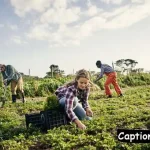 Agriculture Captions for Instagram