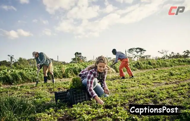 Agriculture Captions for Instagram