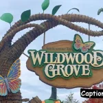Dollywood Captions For Instagram