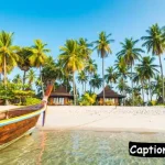 Paradise Captions For Instagram