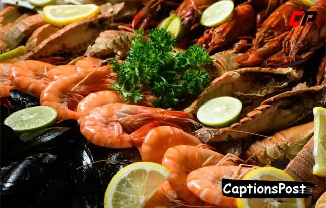 Seafood Captions for Instagram