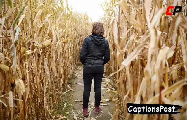 Corn Maze Captions for Instagram