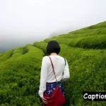 Tea Garden Captions for Instagram